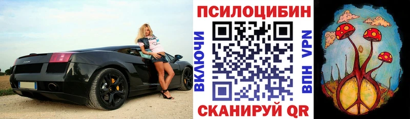 Псилоцибиновые грибы Magic Shrooms  наркота  Нефтегорск 